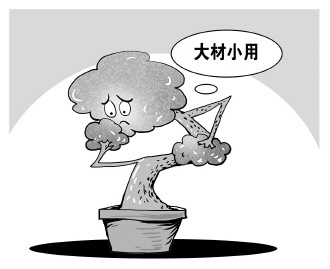 自認(rèn)“大材小用”，不如腳踏實(shí)地
