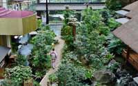 震撼！日本最豪華的廁所（組圖）