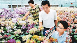 臺(tái)商眼中的改革開(kāi)放：風(fēng)景這邊獨(dú)好 要去，要去，要去！