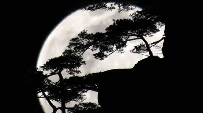 太驚艷！明月奇松 夢(mèng)幻同框