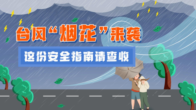 MG動(dòng)畫：臺(tái)風(fēng)“煙花”來襲，這份安全指南請查收