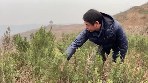 新春走基層｜脫貧后，駐村扶貧隊長在干啥？