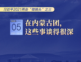 習近平2021兩會“微鏡頭”之三 3月5日 在內蒙古團，這些事談得很深