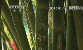 “五一”去哪？：快樂出行 文明旅游