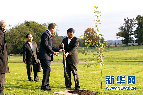 兩國(guó)領(lǐng)導(dǎo)人一同在別墅草坪，共同種下象征中英友誼的橡樹(shù)。新華社記者 鞠鵬 攝
