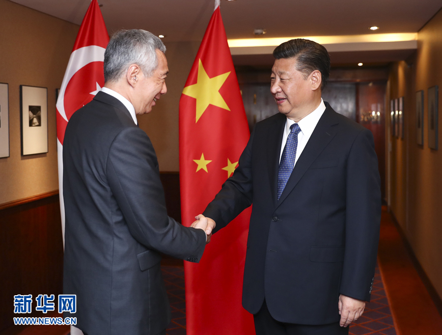 7月6日，國(guó)家主席習(xí)近平在漢堡會(huì)見(jiàn)新加坡總理李顯龍。 新華社記者謝環(huán)馳 攝